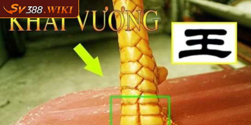 Vảy Khai Vương Đặc Điểm Nhận Dạng Và Cách Chăm Sóc Hiệu Quả 1 Vảy khai vương là gì?